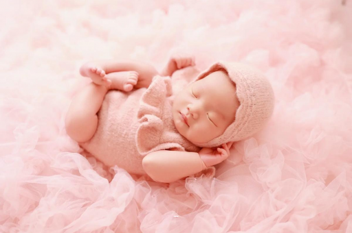 嘉鱼8个月宝宝辅食 嘉鱼8个月宝宝辅食